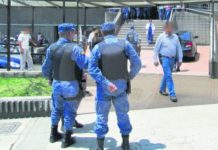 Derecho de petición sobre autorización de porte de armas de baja letalidad para funcionarios